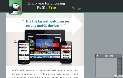 Puffin Web Browser - Скриншот 2