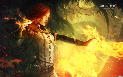 The Witcher 2: Assassins of Kings в Onlive