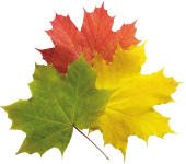 Иконка Осенние листья