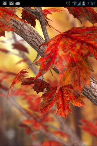 Осенние листья - Скриншот 3
