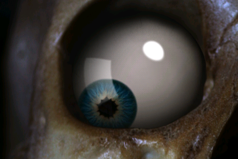 Skeleton Eye - Скриншот 1