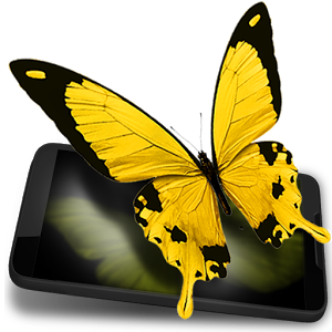 Иконка Бабочки 3D