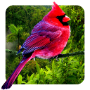 Иконка 3D Birds Parallax