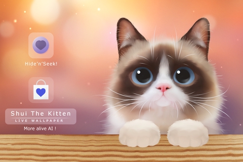Shui The Kitten