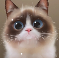 Иконка Shui The Kitten