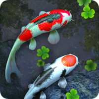Иконка Water Garden Live Wallpaper