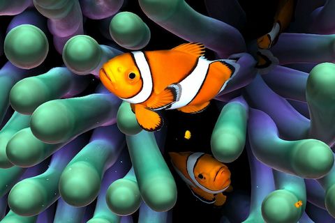 Sim Aquarium Live Wallpaper