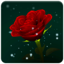 Иконка Enchanted Rose