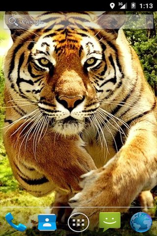 Прыжок тигра - Скриншот 1 Прыжок тигра - Скриншот 1