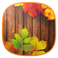 Иконка Autumn Time