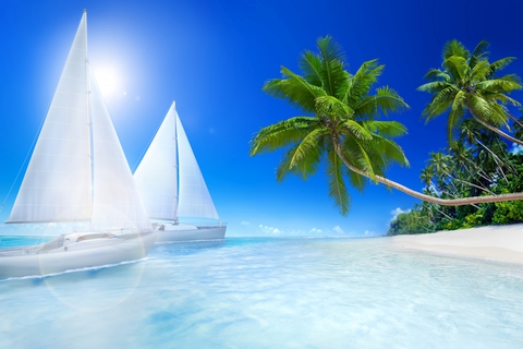 Beach Palms 3D