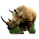 Иконка Rhinos Africa
