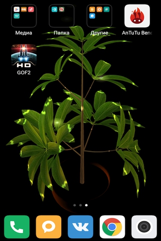 Денежное дерево - Скриншот 1 Денежное дерево - Скриншот 1