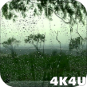 Иконка 4K Rain Video Wallpaper