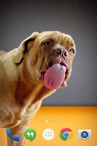 Super Dog Lick Screen - Скриншот 1 Super Dog Lick Screen - Скриншот 1