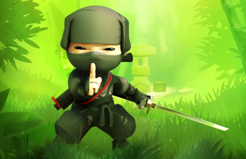 Mini Ninjas