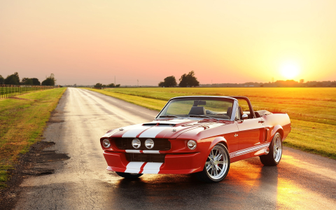 Ultimate 3D Classic Car Rally
