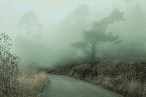 Escape From The Dark Redux