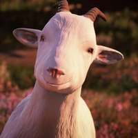 Иконка Goat Simulator: Remastered Иконка Goat Simulator: Remastered