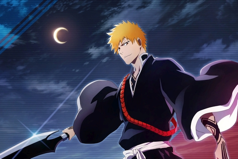 Bleach: Heat the Soul 6