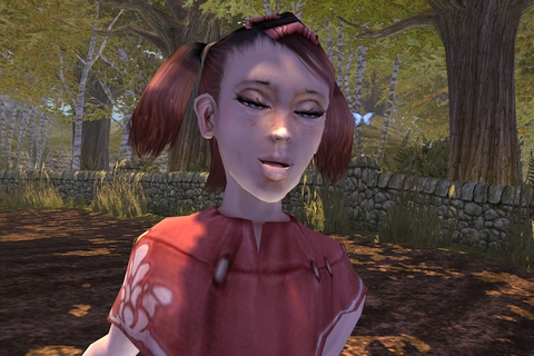 Fable: The Lost Chapters - Скриншот 1 Fable: The Lost Chapters - Скриншот 1