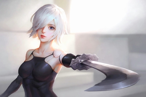 NieR: Automata